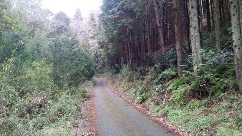 1-2 谷戸川沿い.JPG