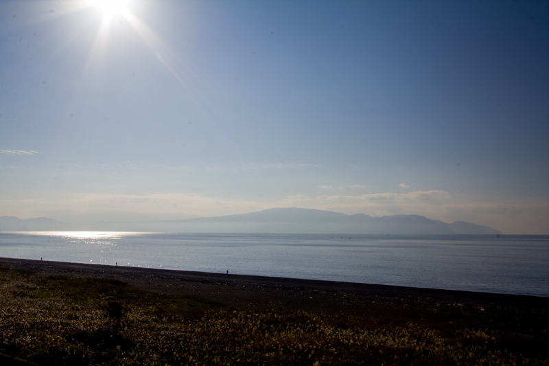 161203-suruga004-1.jpg