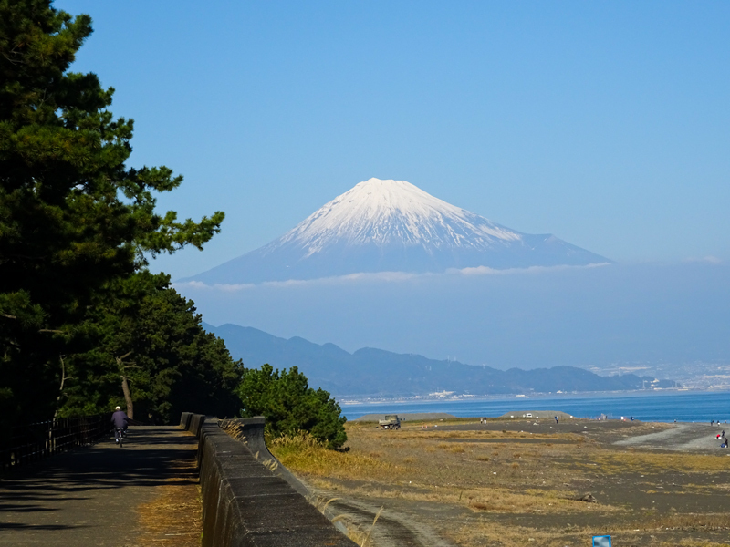 161203-suruga030-1.jpg