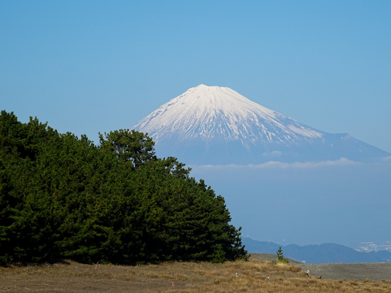 161203-suruga031-1.jpg