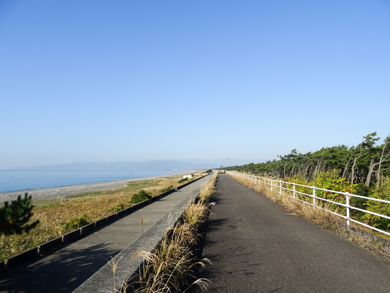 161203 suruga004.jpg