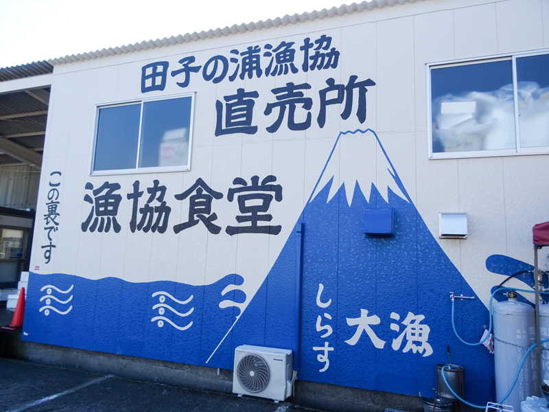161203 suruga006.jpg