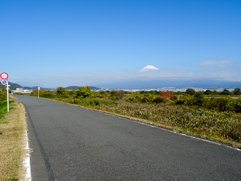 161203 suruga014.jpg