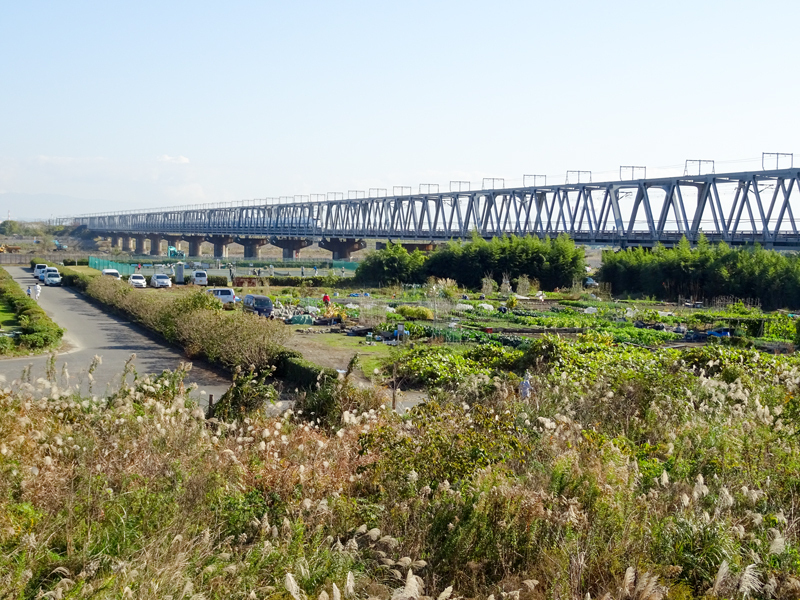 161203 suruga015.jpg
