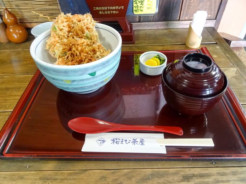161203 suruga019.jpg