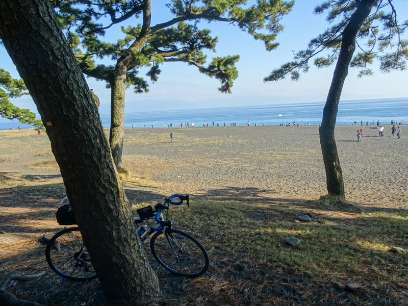 161203 suruga031.jpg