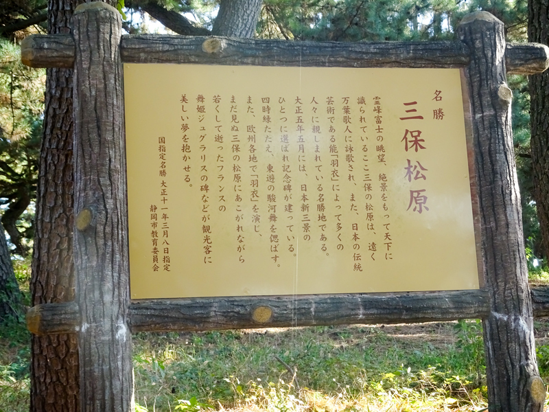 161203 suruga032.jpg