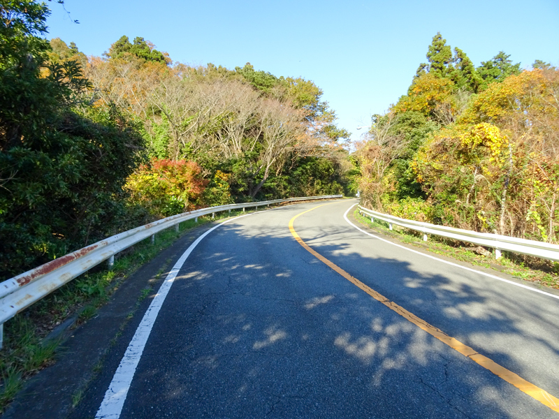 161203 suruga034.jpg