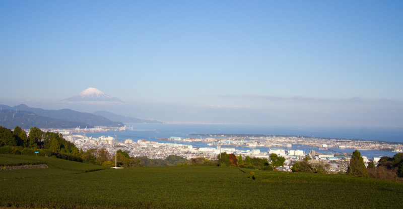 161203 suruga049.jpg