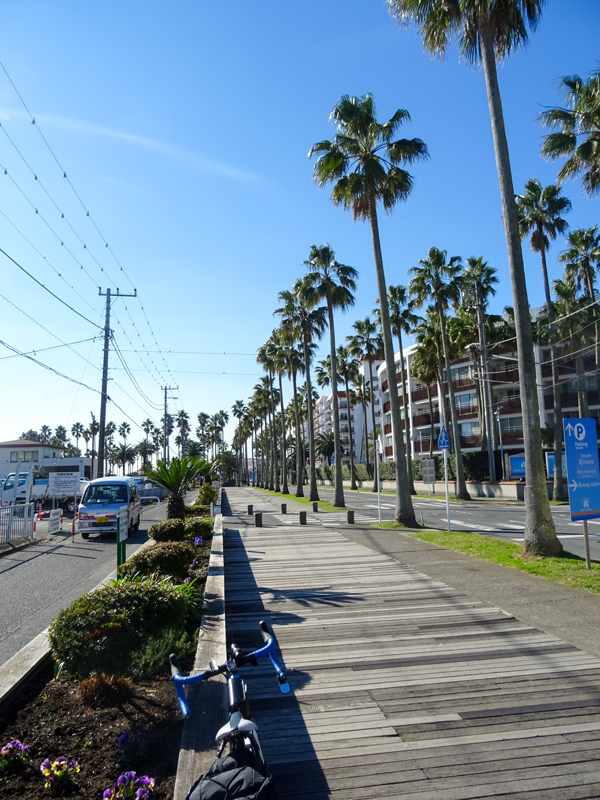 161211荒崎海岸003.jpg