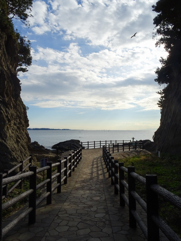 161211荒崎海岸010.jpg