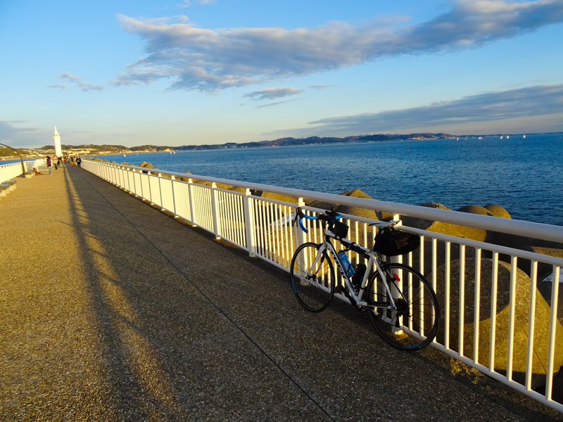 161211荒崎海岸013.jpg