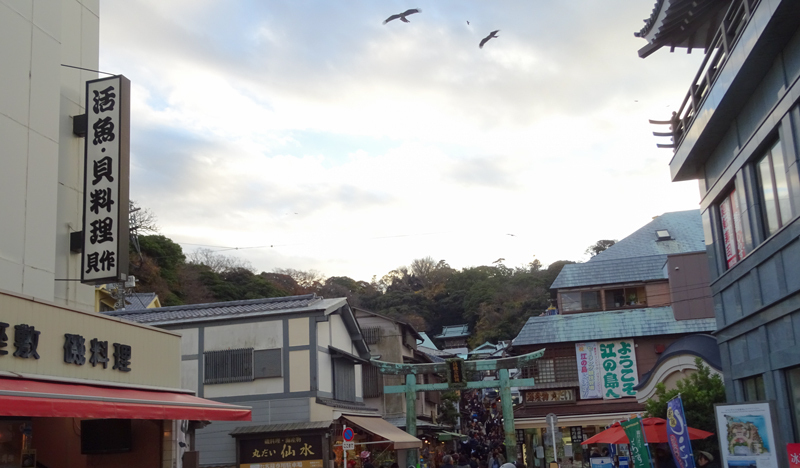 161211荒崎海岸014.jpg