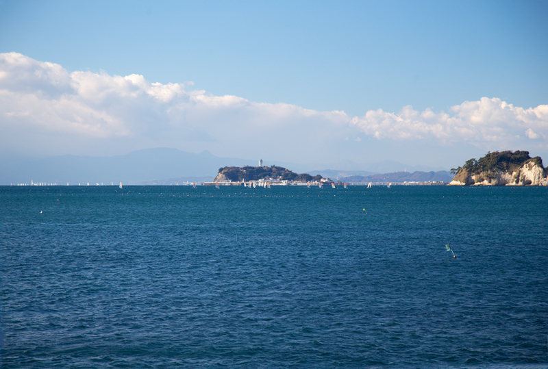 161211荒崎海岸015.jpg