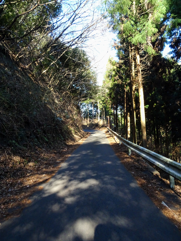 170204-011.jpg