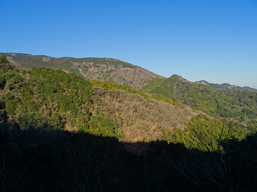 170204-017.jpg