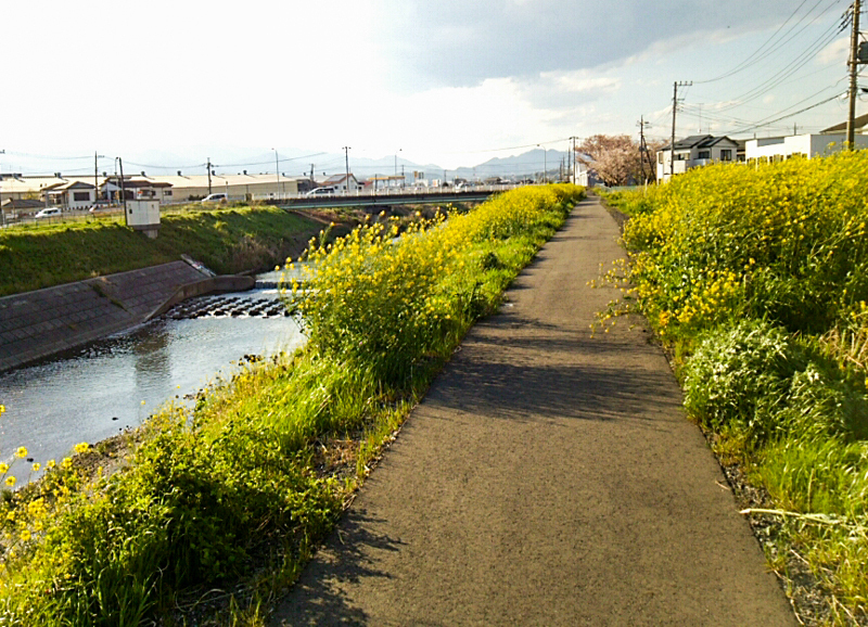 170415yamakita006-1.jpg