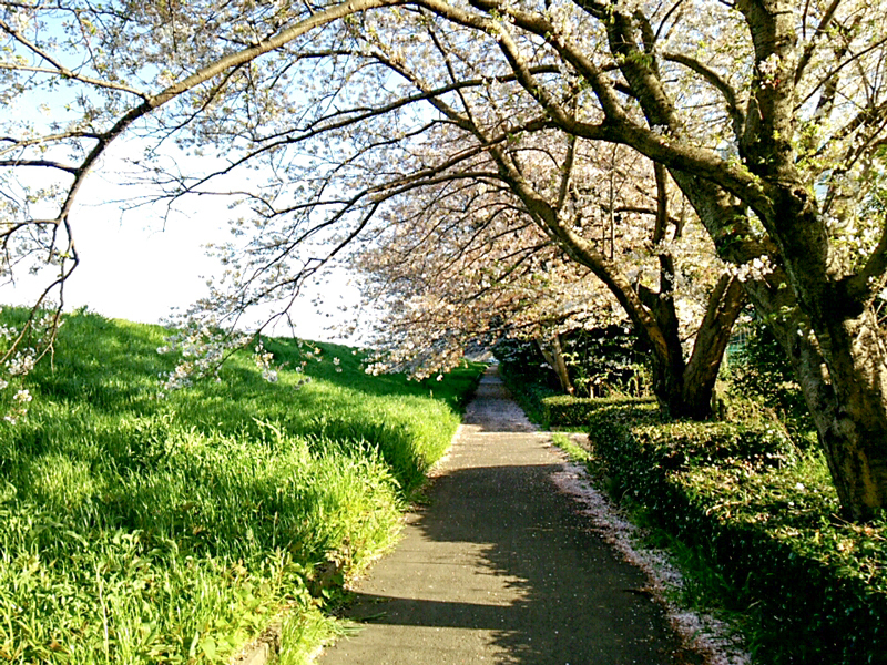 170415yamakita006.jpg