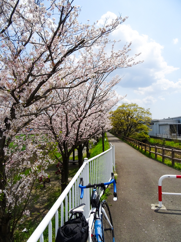 170415yamakita014.jpg