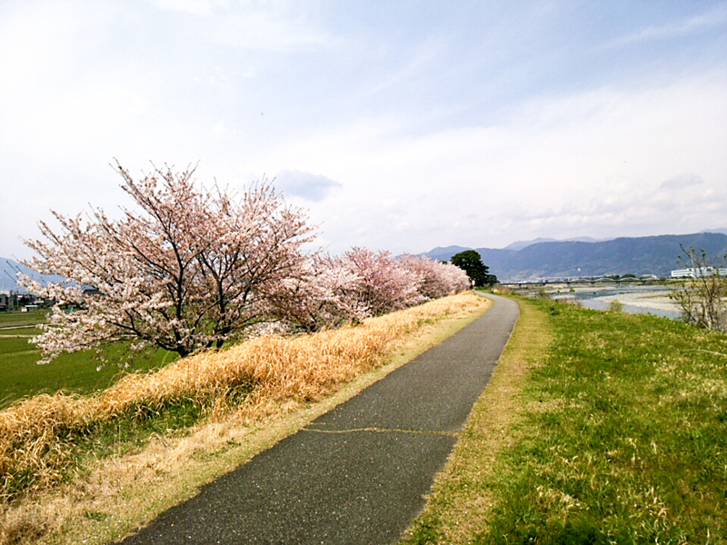 170415yamakita017-1.jpg