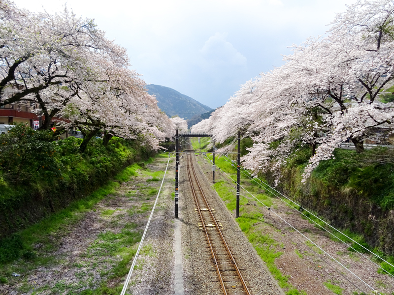170415yamakita019.jpg