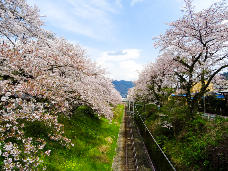 170415yamakita020.jpg