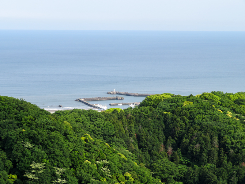 170514湘南平ポタ007-1.jpg