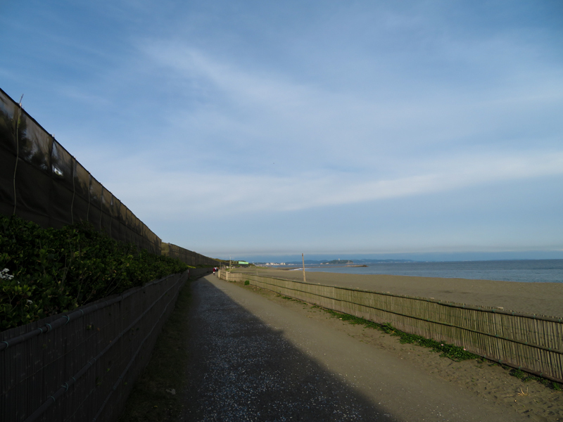 170514湘南平ポタ011.jpg