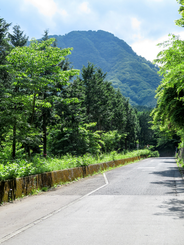 170604Kinntokihakone011.jpg