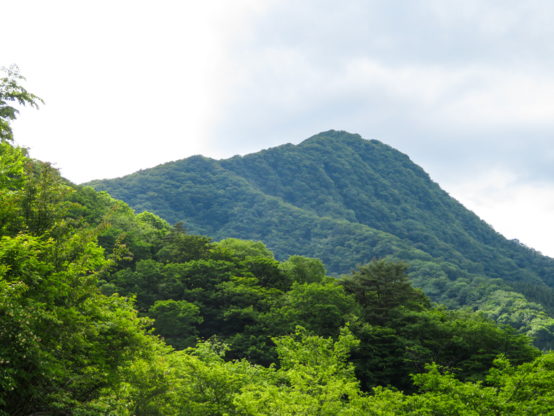 170604Kinntokihakone012.jpg
