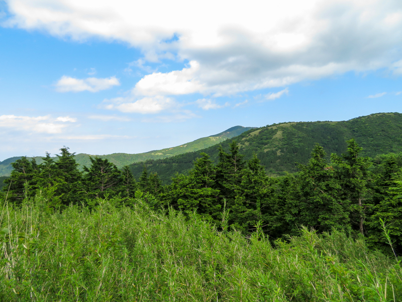 170604Kinntokihakone013-1.jpg