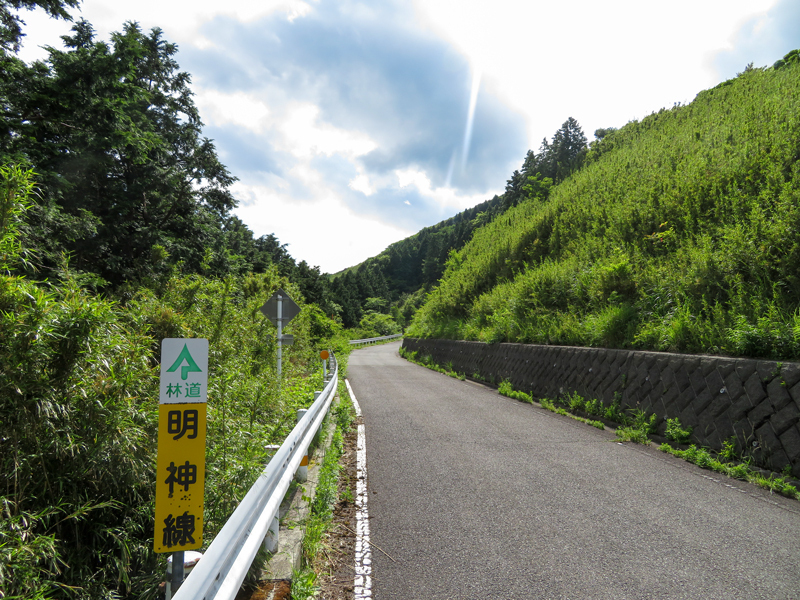 170604Kinntokihakone013.jpg