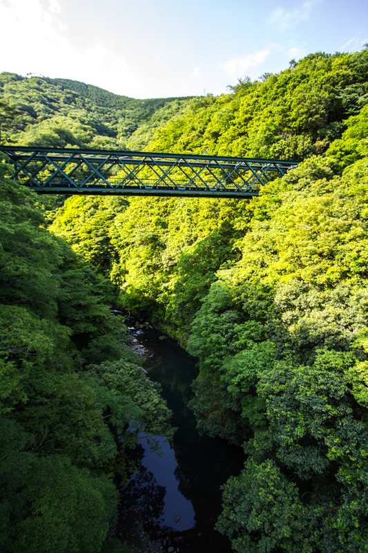 170604Kinntokihakone028-1.jpg
