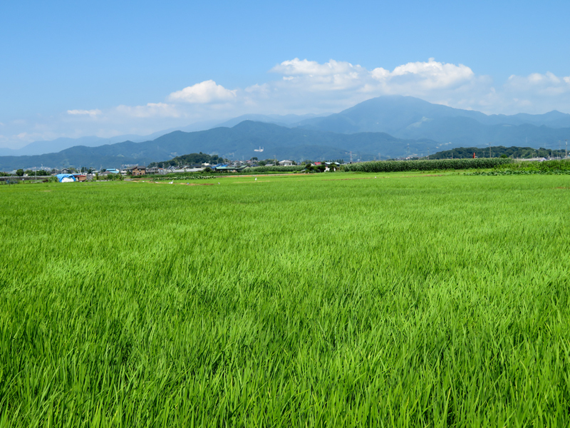 170715　宮ケ瀬～道志ダム～大垂水峠003.jpg