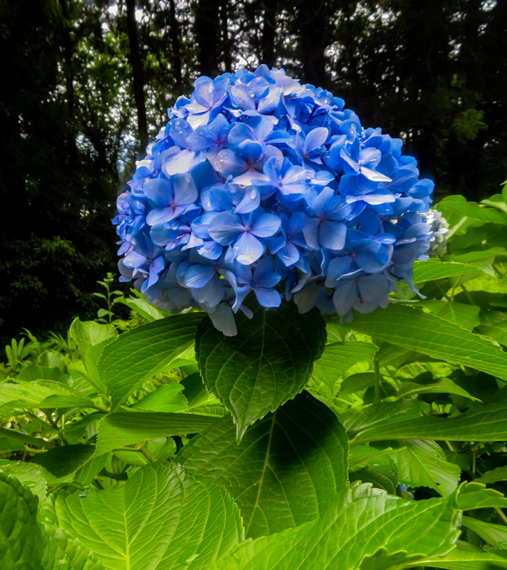 170730025-1.jpg