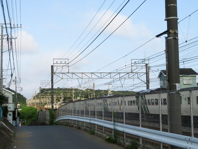 170819二宮ポタ022.jpg