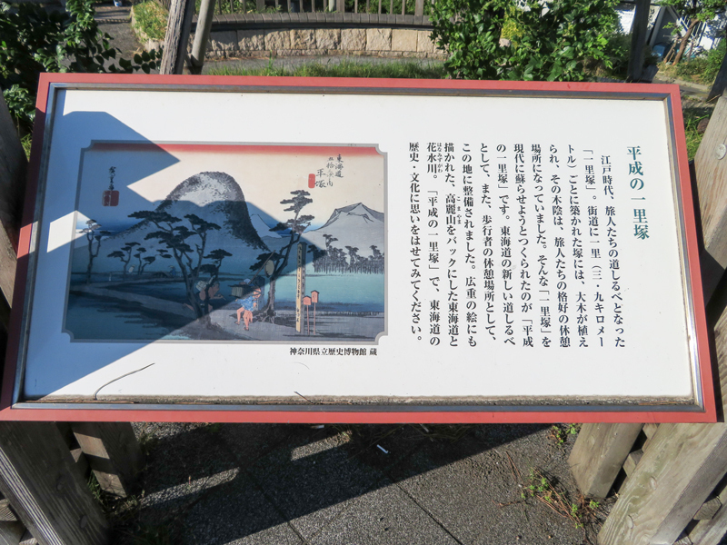170902湘南平ポタハイク009.jpg