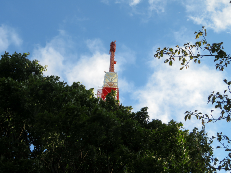 170902湘南平ポタハイク015.jpg