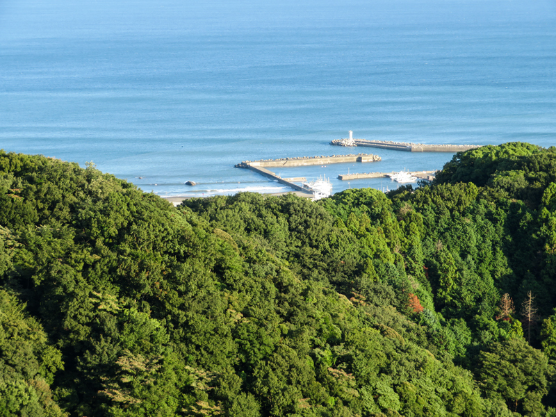 170902湘南平ポタハイク018.jpg