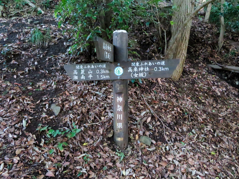 170902湘南平ポタハイク024.jpg