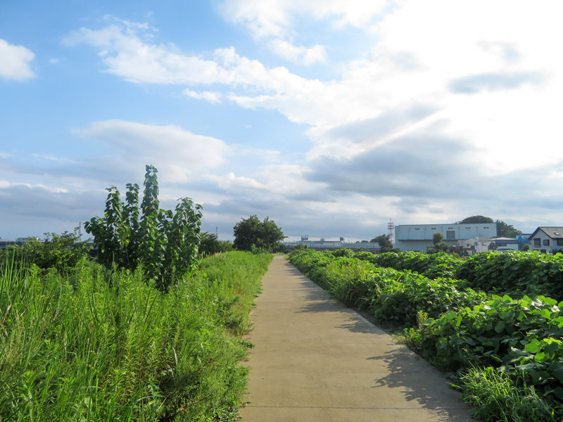 170903-相模原ライド029-1.jpg