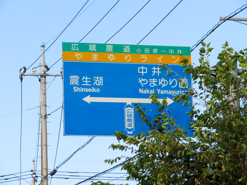 171009やまゆりライン、遠藤原023-1.jpg