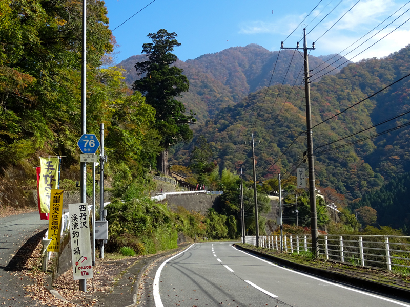 171104-犬越路015-1.jpg