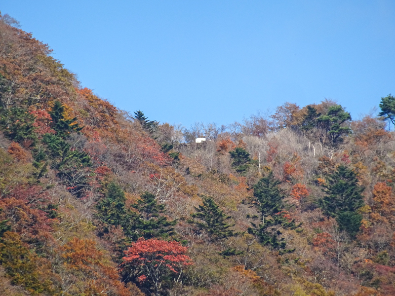 171104-犬越路026-1.jpg