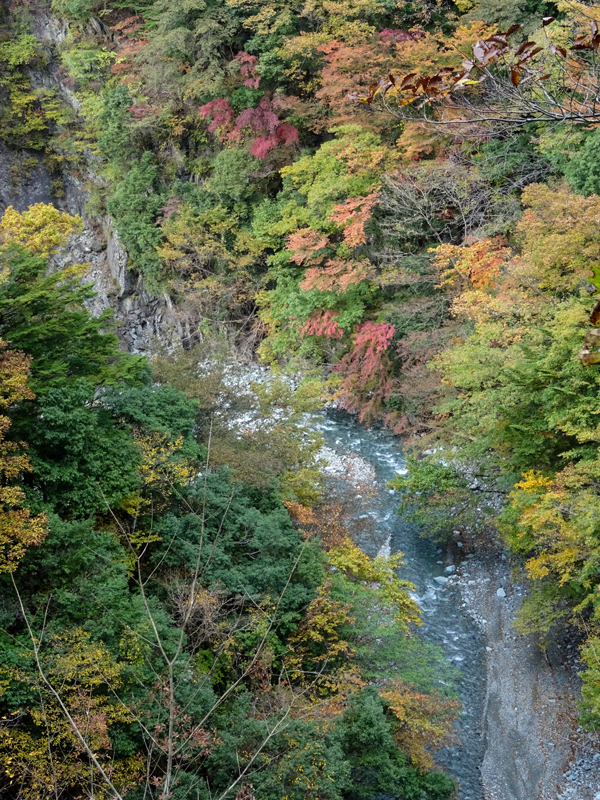 171104-犬越路040-2.jpg