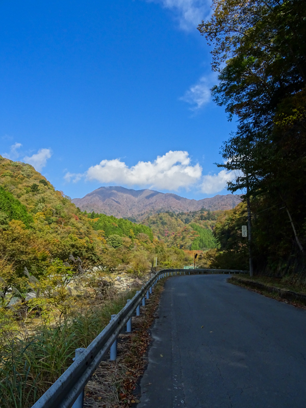171104 犬越路019.jpg