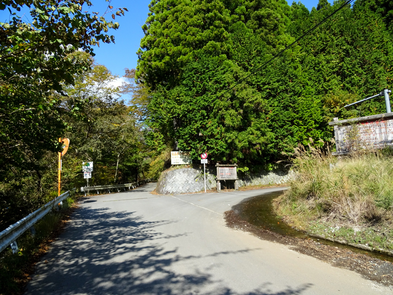 171104 犬越路021.jpg