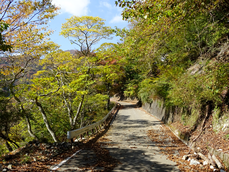 171104 犬越路023.jpg