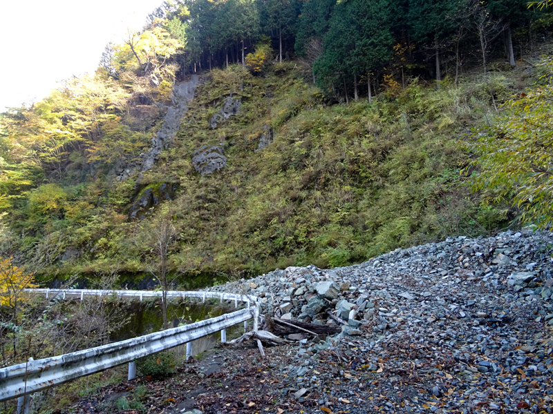 171104 犬越路032.jpg