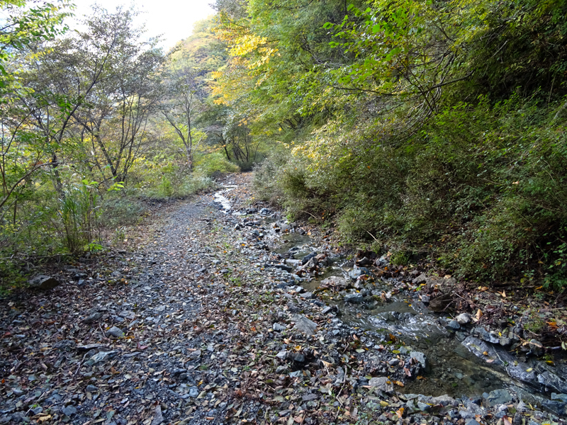 171104 犬越路034.jpg